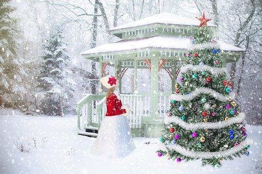 9 Things to Look for when Buying real Christmas Tree