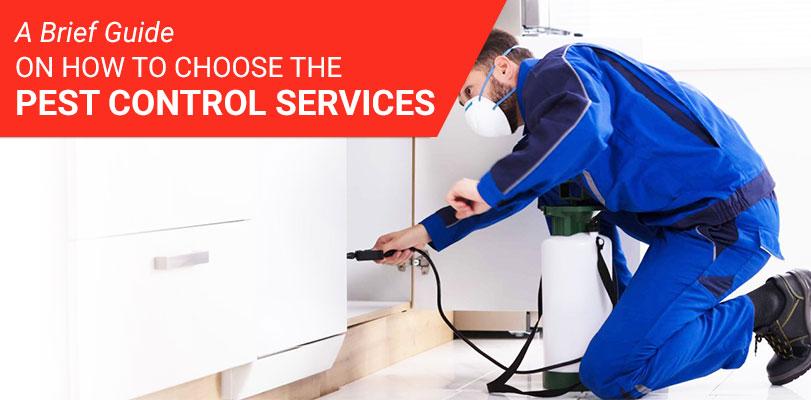 A Brief Guide on How to Choose the Pest Control Services