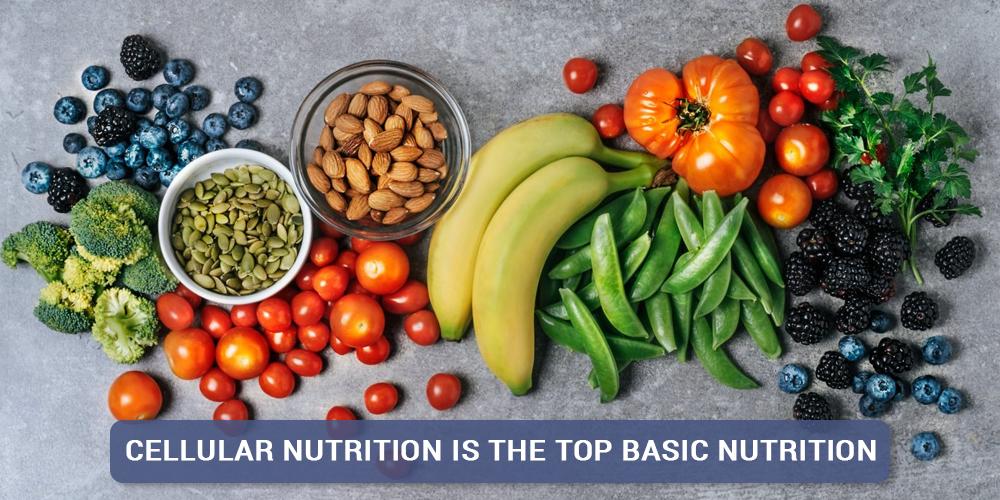 Cellular nutrition is the top basic nutrition