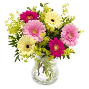 Best Online Flower Delivery in Mumbai From MyFlowerTree