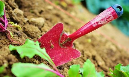 Essential Gardening Tools That Your Garden Needs