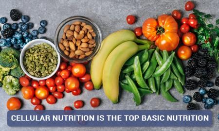 Cellular nutrition is the top basic nutrition